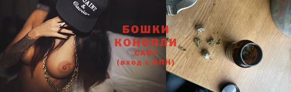 МДПВ Никольское