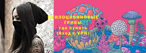 кокс Баксан